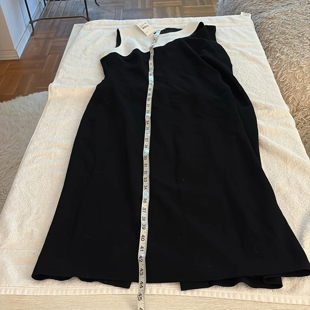 NWT Judith & Charles Black and White beautiful Sleeveless Massena two tone Dress